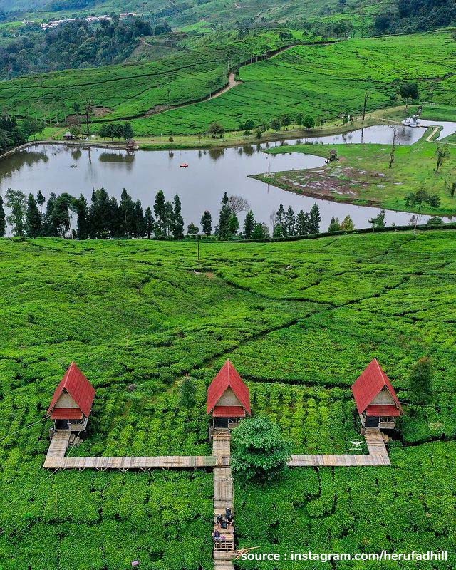 Wisata Tersembunyi Telaga Saat Puncak Bogor, Harga Tiket dan Lokasi