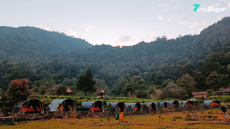 THE CILIWUNG ADVENTURE CAMP, Tempat Camping di Tengah Kebun Teh Puncak
