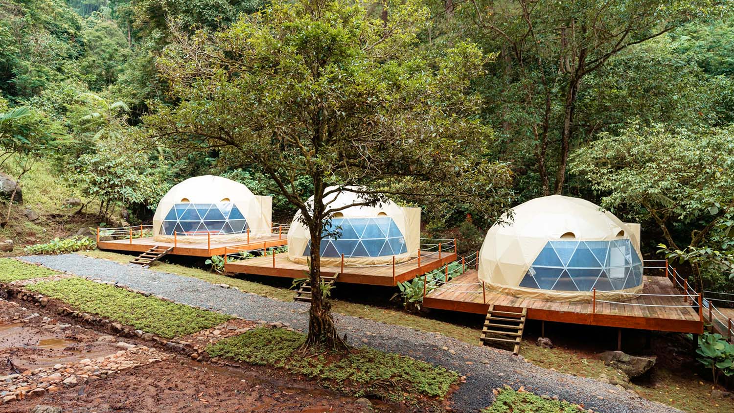 Apa Itu Glamping Ketahui Jenis-Jenis dan Tempat Glamping Terbaik di Bogor