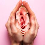 Proses Meluruhnya Sel-Sel Epitel yang Menyusun Dinding Rahim Disebut Apa