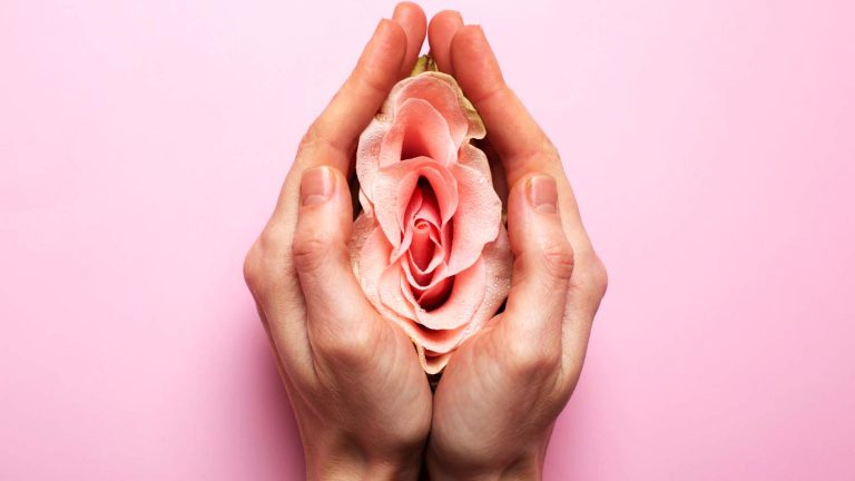 Proses Meluruhnya Sel-Sel Epitel yang Menyusun Dinding Rahim Disebut Apa